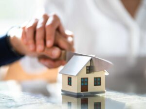 property division blog